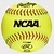 Rawlings NCAA 12" Soft Training Softball
